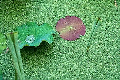 《侠乂行：浪迹天涯》新宣传片 支持光追和DLSS3